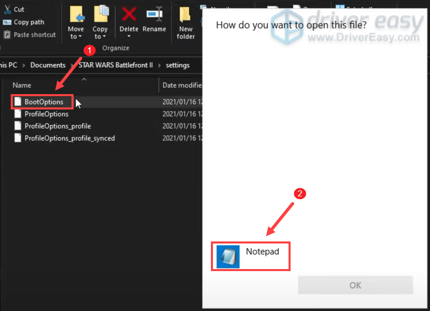 disable DirectX 12 mode in BootOptions